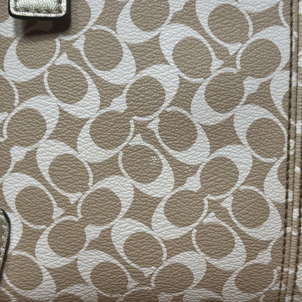 COACH Chelsea Heritage Stripe Hobo/Shoulder Bag - Picture 6 of 17